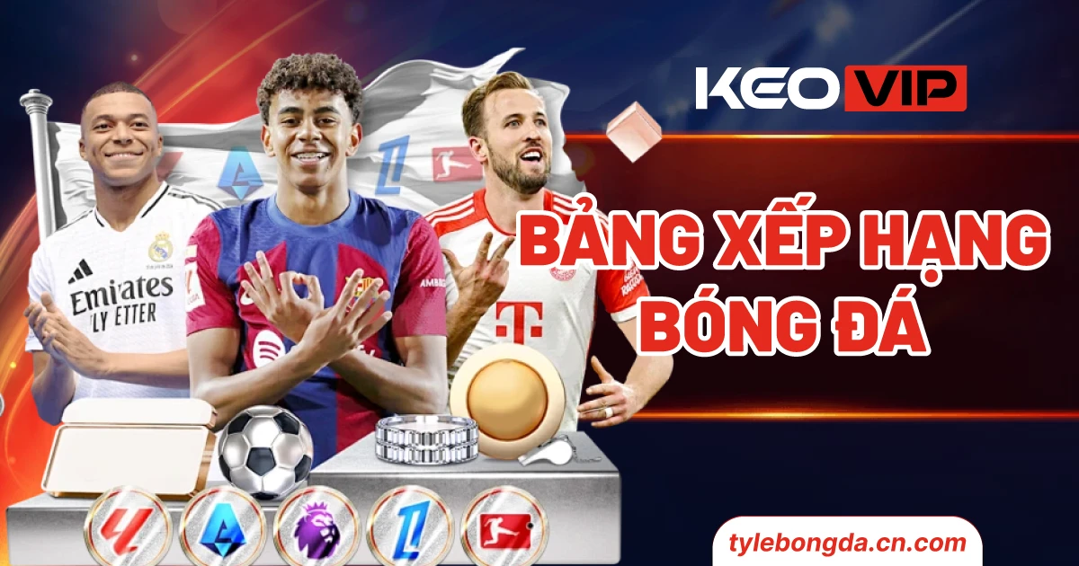 tylebongda.cn .com