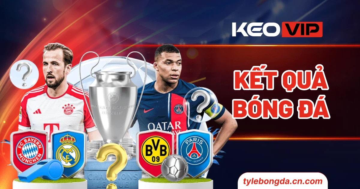 tylebongda.cn .com ketquabongda